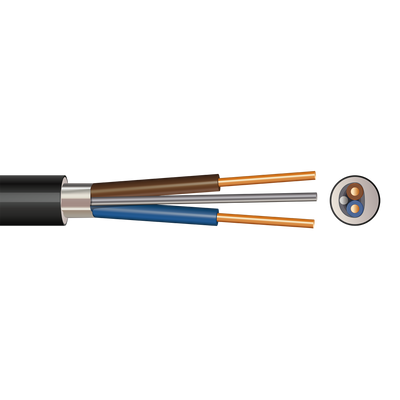 Pitacs 2CFC 2 Core Firecross Cable