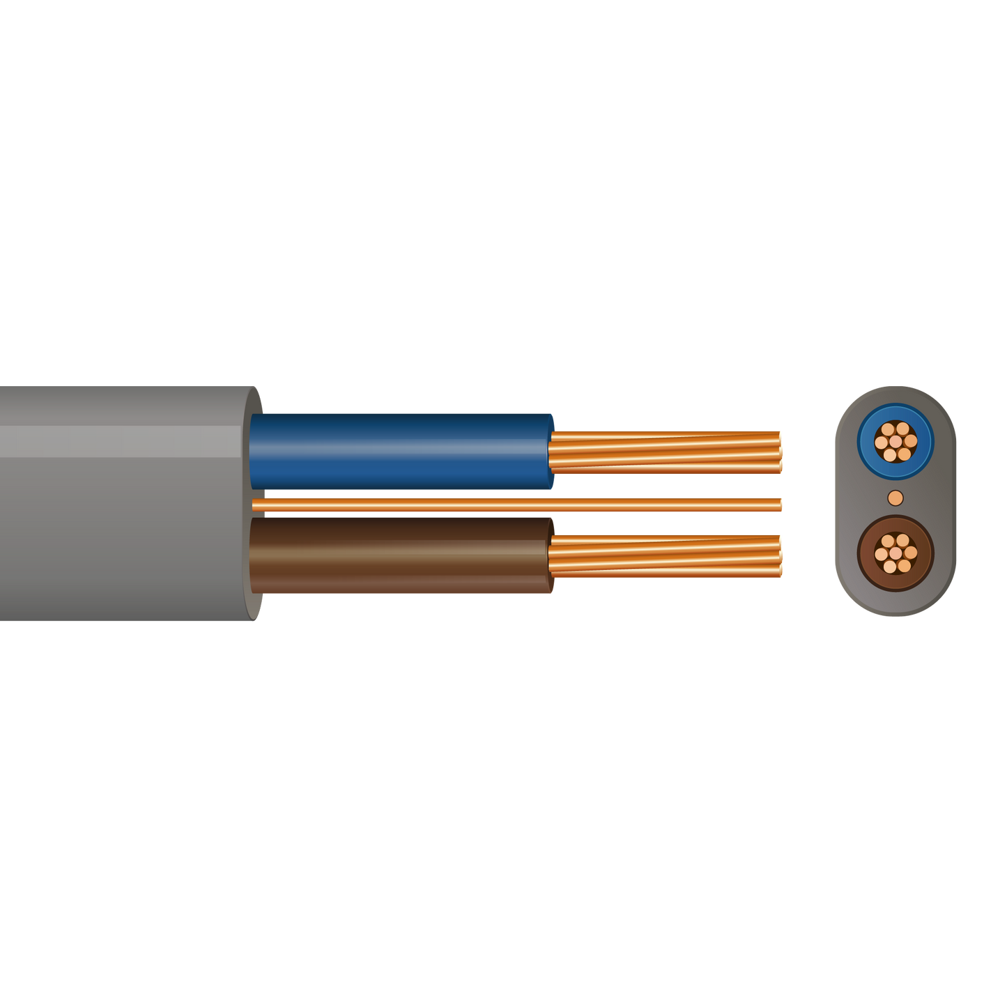 Pitacs 6242Y Twin & Earth Cable
