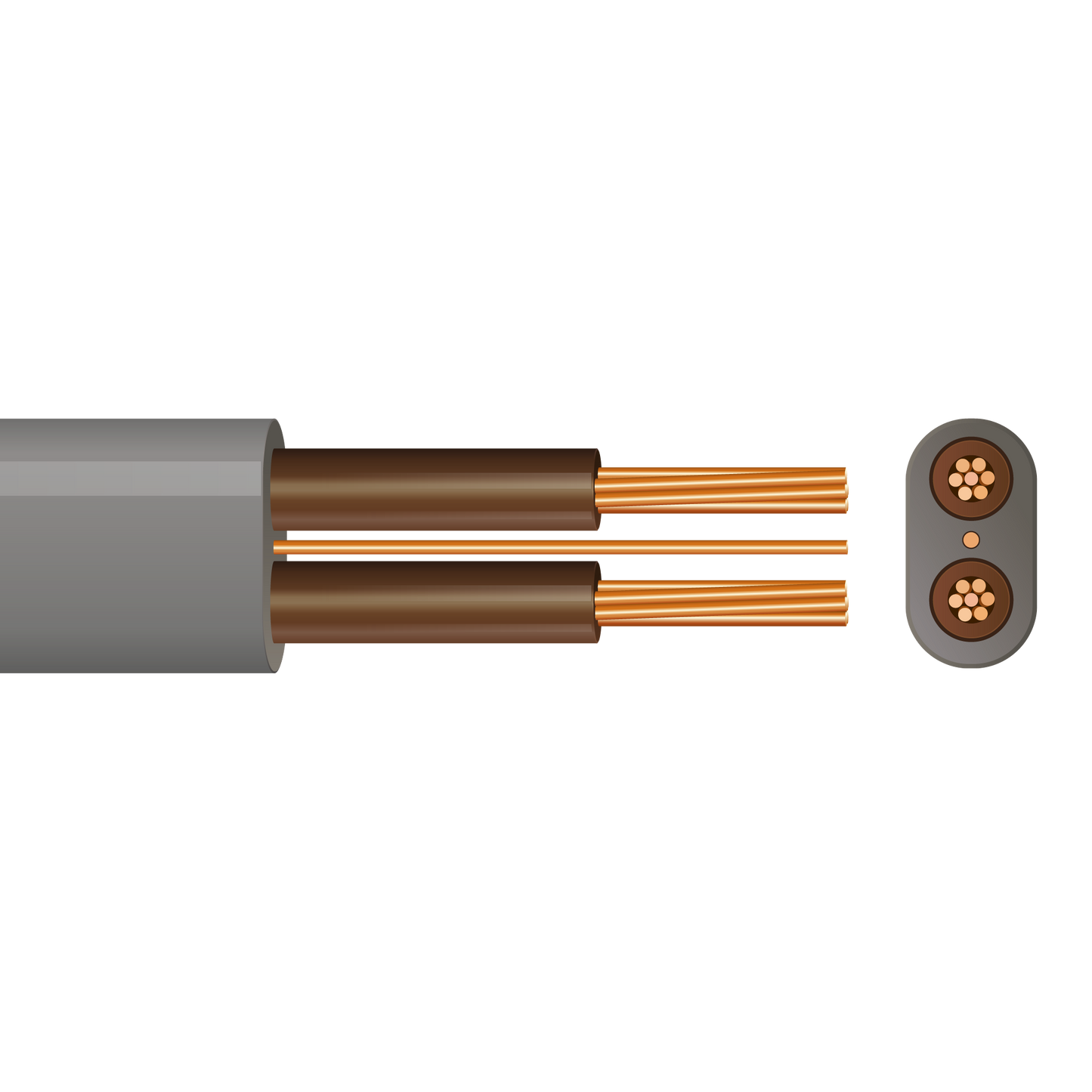 Pitacs 6242Y Twin & Earth Cable