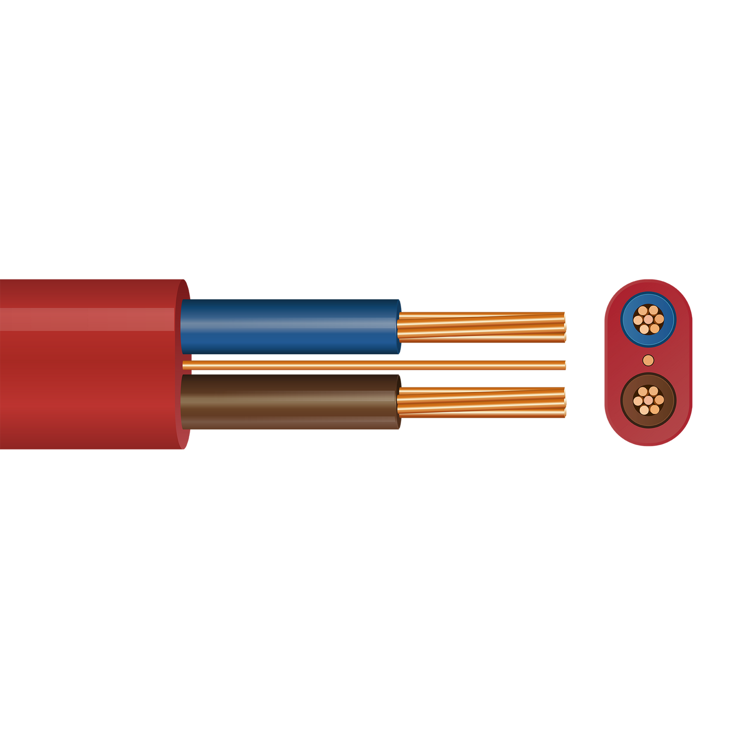 Pitacs 6242Y Twin & Earth Cable