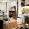 Ariston Deos 21S NET Dehumidifier